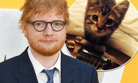 Ed Sheeran Just Lost His Cat, And Everyone Is Mourning! Here’s What Happened! - Direct Healthy