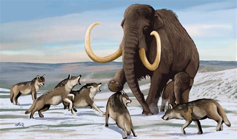 Changing the Guard: Extinction and Migration in Ice Age America — The Extinctions