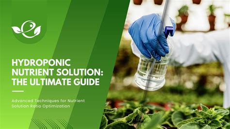 Hydroponic Nutrient Solution: The Ultimate Guide