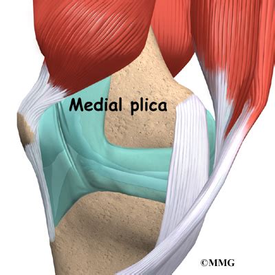 Conditions and Treatments