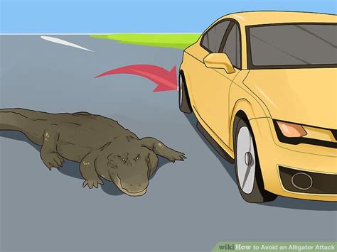 3 Ways to Avoid an Alligator Attack - wikiHow