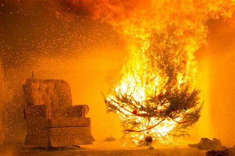 Fire Protection Engineers Show Dangers of Dry Christmas Tree