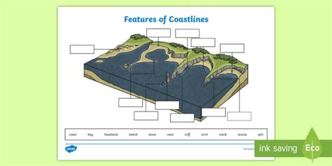 Features of Coastline Labelling Worksheet - PlanIt - Geography Year 6 - Our