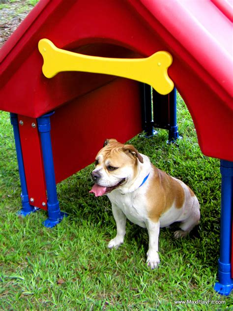 Dog Park Equipment • Max Play Fit, LLCMax Play Fit