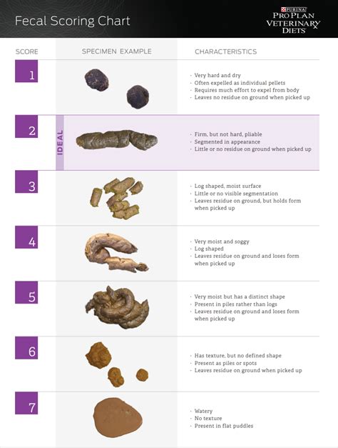 Constipation: how diet can help | nutrition rvn