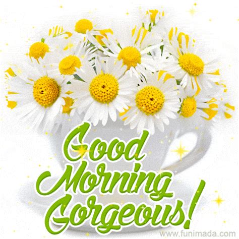 Good Morning Gif Flowers | Best Flower Site