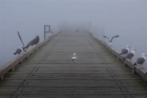 40+ Seaside Oregon Boardwalk Stock Photos, Pictures & Royalty-Free ...