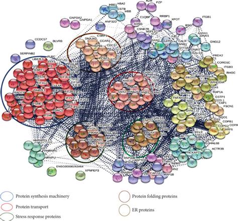 (a) Visualization of protein–protein interaction network of... | Download Scientific Diagram