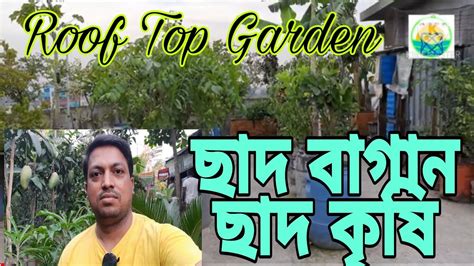 Roof Top Garden/ ছাদ বাগান/ ছাদের উপর চাষাবাদ/ছাদ কৃষি, - YouTube
