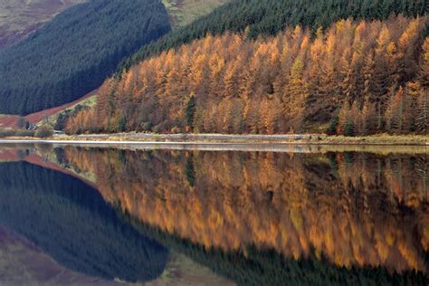 Loch of the Lowes reflections © Walter Baxter cc-by-sa/2.0 :: Geograph Britain and Ireland