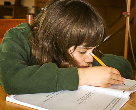 File:Boy doing homework (4596604619).jpg - Wikimedia Commons