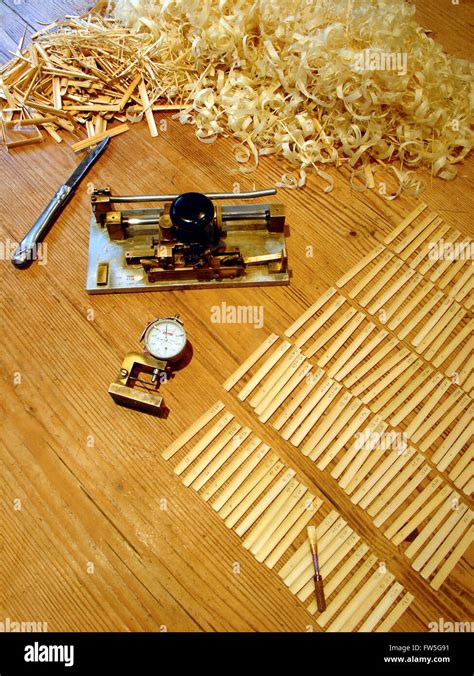 Reed cane (arundo donax) for making Oboe Reeds. Gouged cane pieces ...