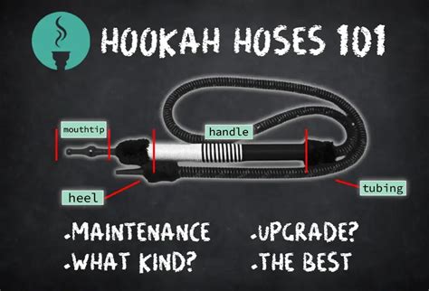 Hookah Hoses: A Definitive Guide | Hookah-Shisha