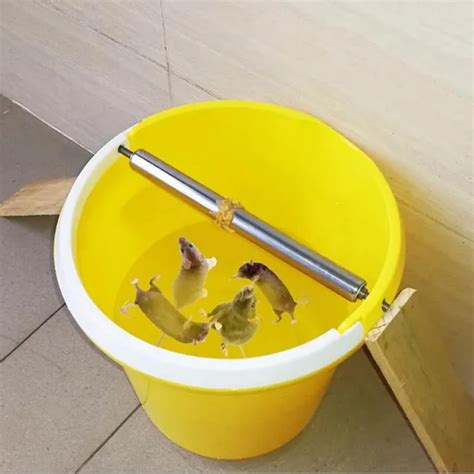 Mice Mouse Traps Mousetrap Rodent Catcher Roll Stick Bait Traps Rat Pest Mice Control Stainless ...