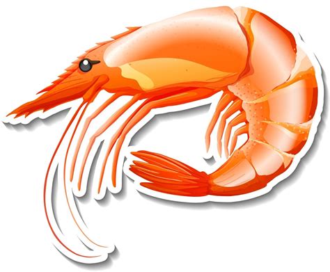 Shrimp seafood cartoon sticker on white background 2988625 Vector Art at Vecteezy