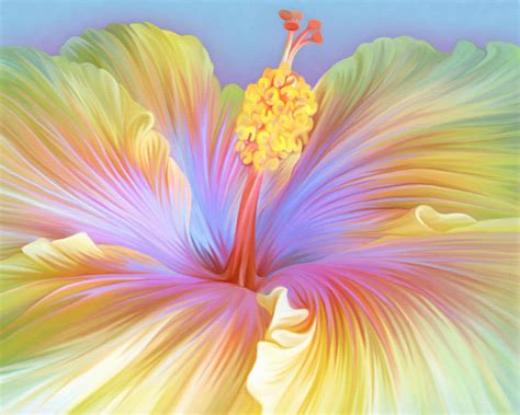 Illustration Of Hibiscus Flower Digital Art by Illustration By Shannon Posedenti - Pixels