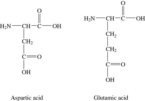 Biochemistry's Acidic Amino Acids - dummies