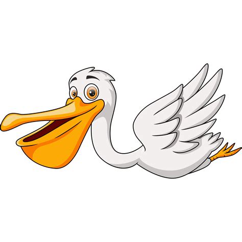 Pelican Cartoon Clipart