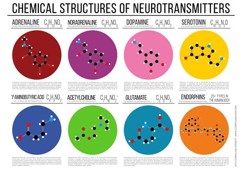 Brain Chemicals & BPD (Chemistry) - Science