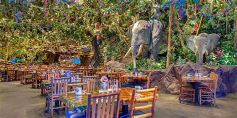 Restaurant Review: Rainforest Cafe in Animal Kingdom - MickeyBlog.com