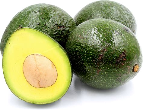 Reed Avocado Information and Facts