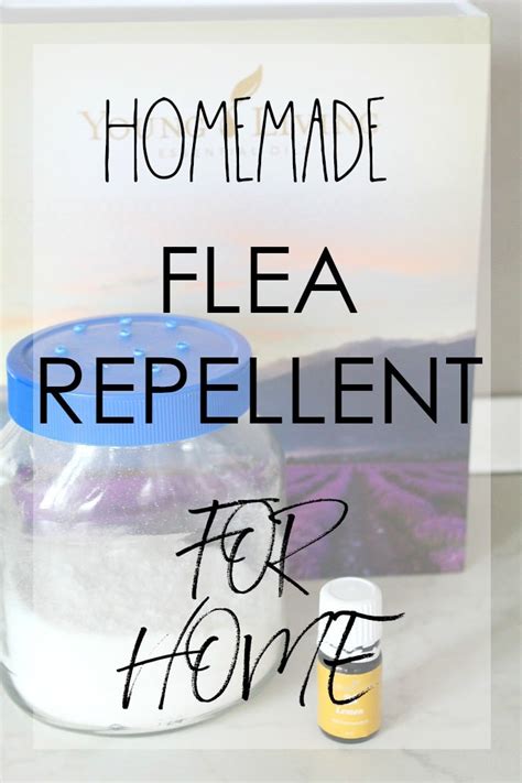 DIY Natural Flea Repellent Powder For Home - Easy Peasy Creative Ideas