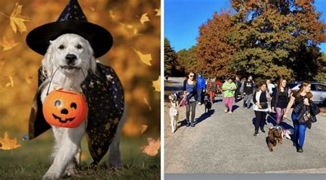 Howl-o-ween Hike N Treat to benefit Friends of Warwick Animal Shelter - Rhode Island news