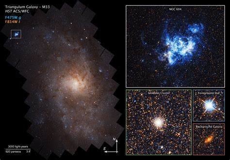 Triangulum Galaxy Reveals Stunning Stellar Symmetry in Amazing Hubble Telescope Views | Space