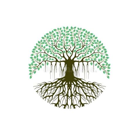 a tree with green leaves and roots in the shape of a circle on a white background