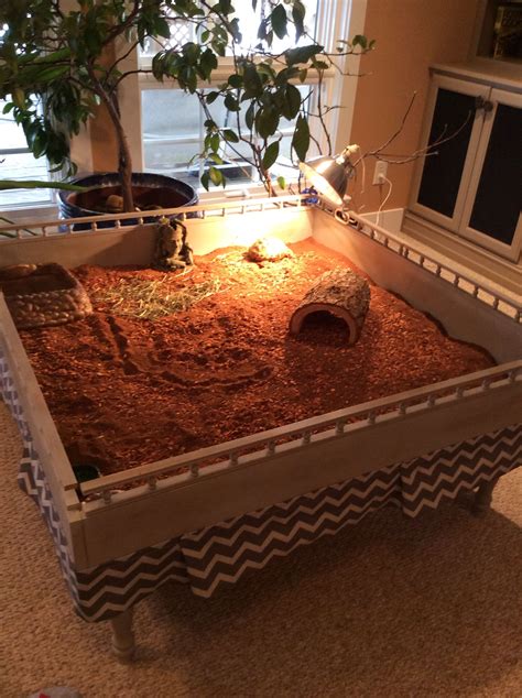 Pin by Kathy Strickler on Animals | Tortoise habitat, Tortoise table, Tortoise care