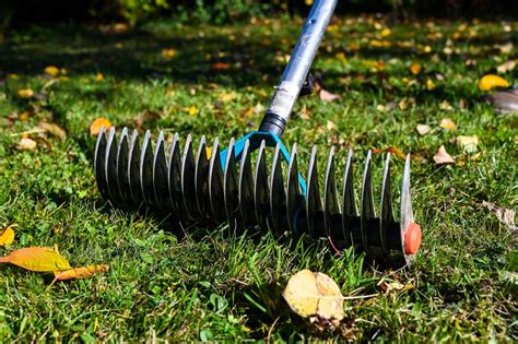 19 Types of Rakes & Their Uses (with Pictures) | House Grail