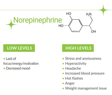 Principles of Neuroscience Series: Neurotransmitters - How to Get the Message Across