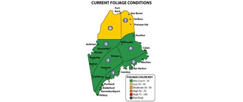 Maine's Display of Fall Foliage Colors Expected to be Brilliant - Visit ...