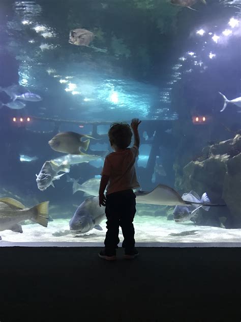 Cleveland Aquarium with kids and grandson. February 26, 2017. | My travel, Travel, Kids