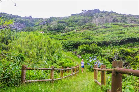 Getting Outside on Flores in the Azores • Scuba Diver Life