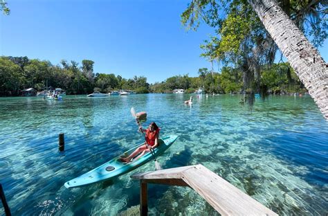 A Perfect Day at Silver Glen Springs Florida (+Swim with Manatees ...