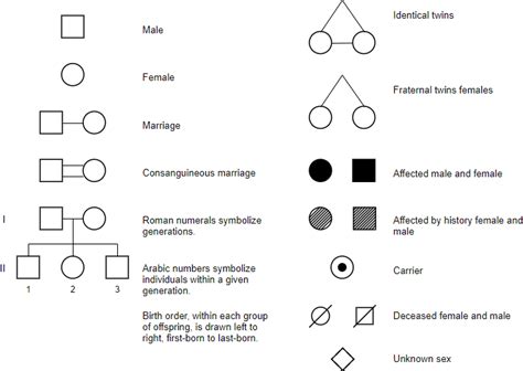 4.2 Symbols used in Pedigree Charts – Introduction to Genetics