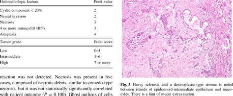 Afip Grading Of Mucoepidermoid Carcinoma - Webpathology.com: A ...