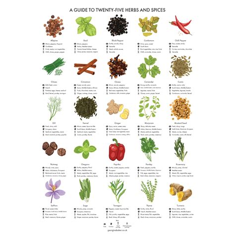 Herbs and Spices Guide Poster A4/A3/A2 Kitchen Print Food - Etsy UK