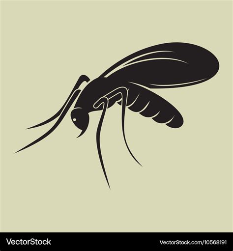 Mosquito Royalty Free Vector Image - VectorStock