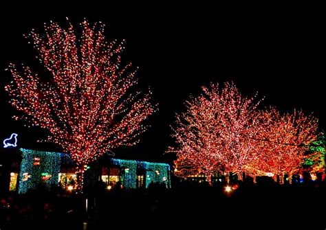 Lincoln Park ZooLights Parking: The Best Spots Are Here