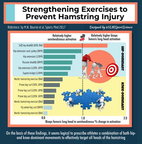 Hamstring Injury Exercises / Proximal Hamstring Tendinopathy Exercise Protocol Pogo Physio Gold ...