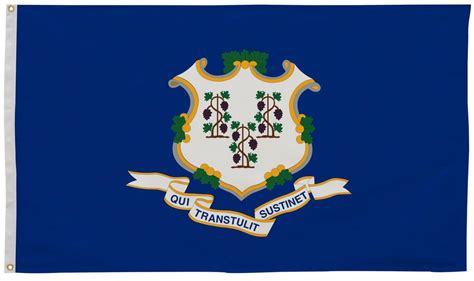 Connecticut State Flag 4' x 6' | Connecticut Flag | State of ...