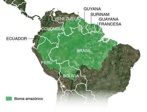 Destrucción del Amazonas: las principales amenazas para la mayor selva tropical del mundo en los ...