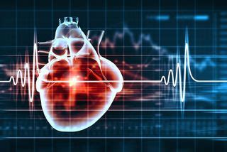 Heart of the Matter: 7 Things to Know About Your Ticker | Live Science