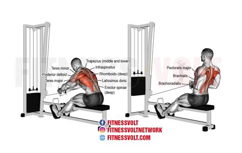 Cable Close Grip Row | tunersread.com