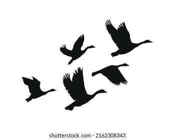 Flock Geese Flying Together Silhouette Stock Vector (Royalty Free) 2162308343 | Shutterstock