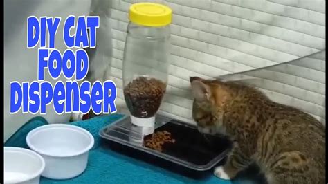 DIY Cat Food Dispenser - YouTube