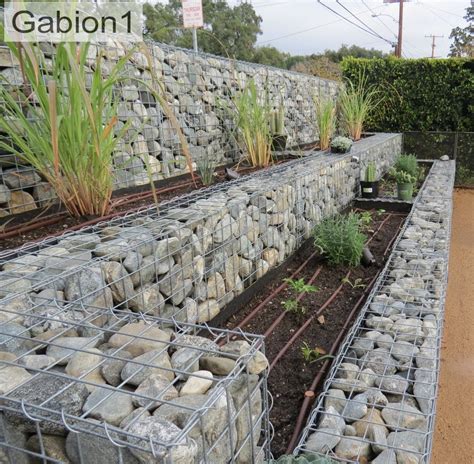 Unique Gabion Wall Garden design #Gabionwall #Wallgarden # ...