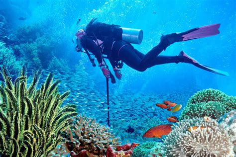 SCUBA DIVING IN GOA » Goa Tour Packages